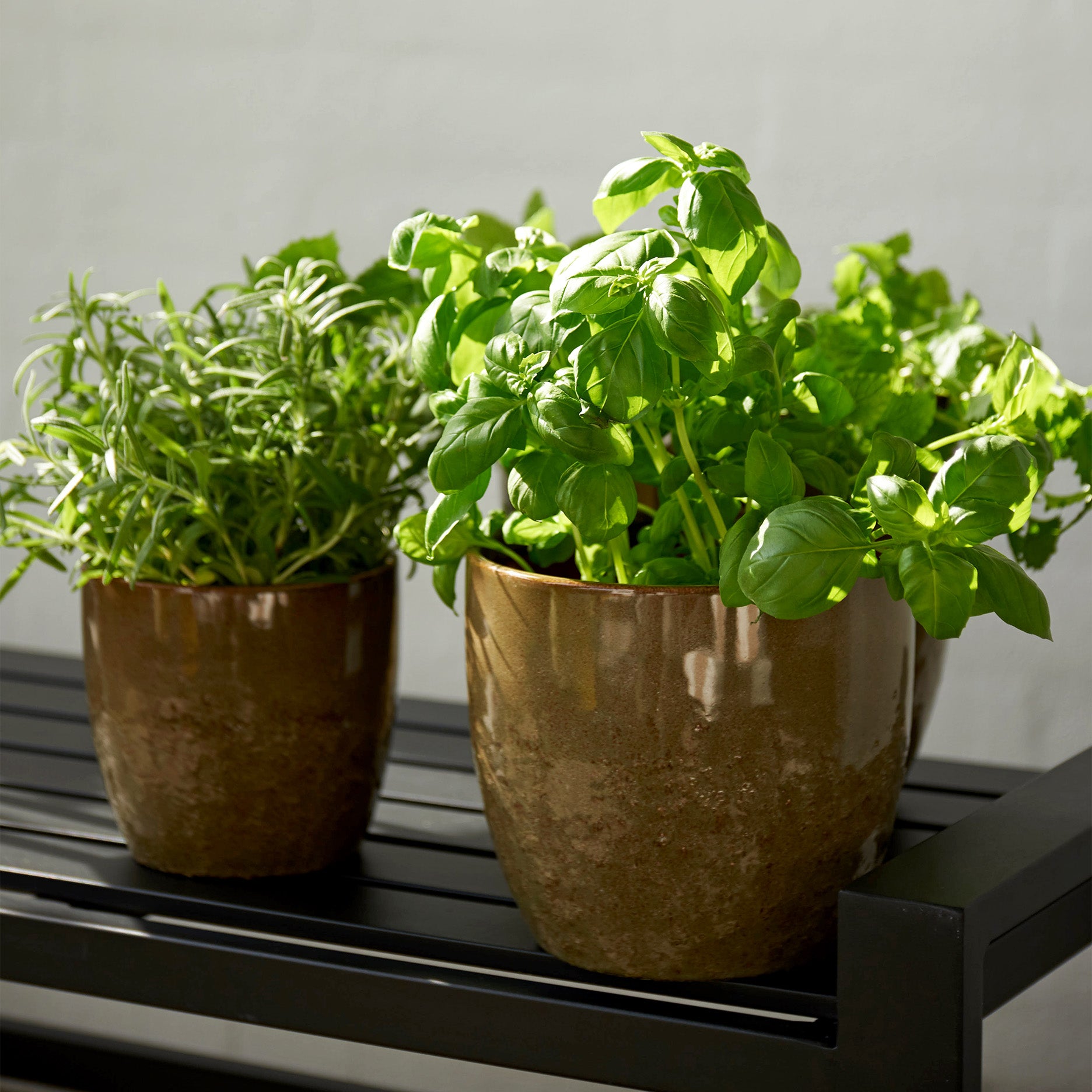 Pio II urtepotte Ø17 cm